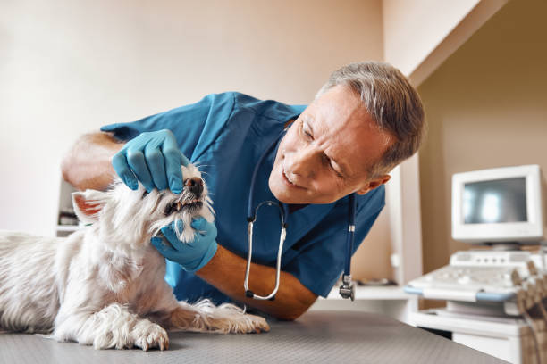 Best After-Hours Emergency Dentist in Bethlehem, NC